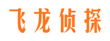 阳新飞龙私家侦探公司